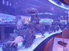 -上和臻品中国菜(花园街店)