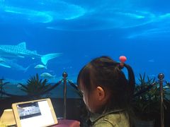 -雨林餐厅(长隆海洋王国店)