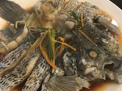 珍珠斑鱼-蔚海之都·象山蒸汽海鲜(仙霞路店)