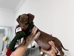 -M Stand(上海人民广场来福士店)