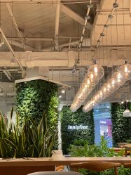 -悦诗风吟innisfree