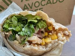 -油梨树AVOCADO TREE(望京店)