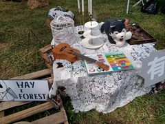 -南宁良凤江国家森林公园