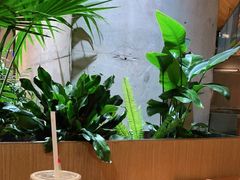 -Wagas沃歌斯(武汉恒隆广场店)