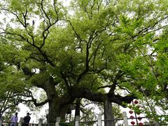 -新安江山水画廊风景区