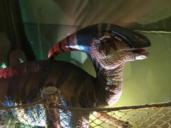 -恐龙探索乐园(磁器口店)