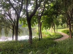 -东莞植物园