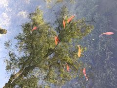 -水磨沟公园