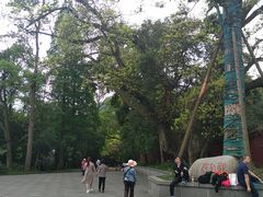 -峨眉山报国寺