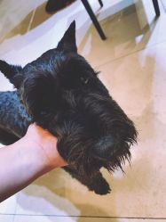 点击看大图 -Hello Lady发型设计