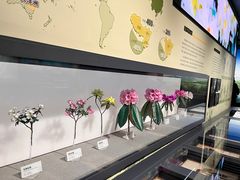 -四川大学博物馆