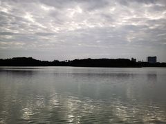 -海珠湖公园