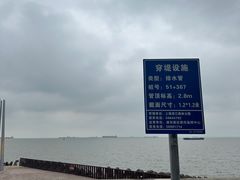 -上海滨江森林公园