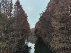-厦门园林博览苑
