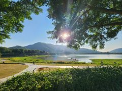 -风云岭森林公园