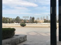 -上林马术中央公园·户外露营·团建·骑乘