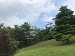 -圣淘沙天际线斜坡滑车