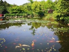 -白马涧龙池景区