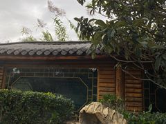 -大理地热国