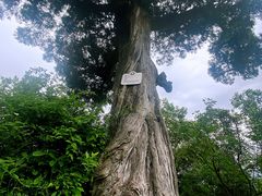 -金堂县云顶石城风景区