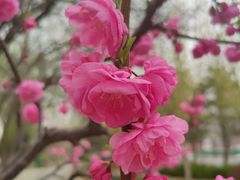 -元大都城垣遗址公园