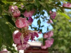 -北京石刻艺术博物馆(五塔寺)