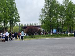 -黄海国家森林公园