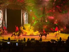-广州长隆国际大马戏