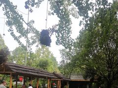 -青城甲(青城山店)