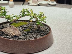 -龙宴海鲜城(经中路店)