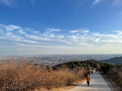 -北京西山国家森林公园