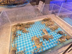 -一方渔歌蒸汽海鲜自助(文化路万达广场店)