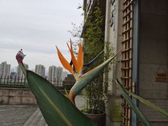 -仁虎老火锅(黄泥磅店)