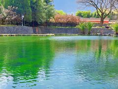 -崇圣寺三塔文化旅游区