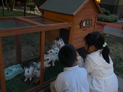 -青岛鑫江温德姆酒店
