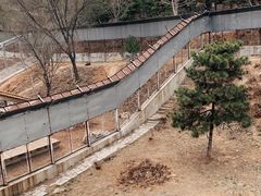 -石家庄市动物园