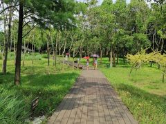 -嘉北郊野公园