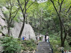 -王顺山国家森林公园