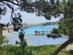 -日照海滨国家森林公园