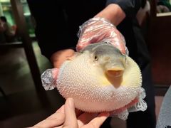 -肆月河豚·淮扬菜·湘菜(华天店)
