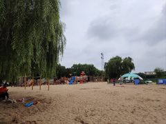 -大兴滨河森林公园