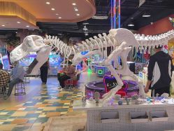 -卡通尼·Safari非洲探索乐园·生日会(金桥国际商业广场店)