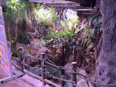 -正佳雨林生态植物园
