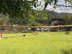 -红山村
