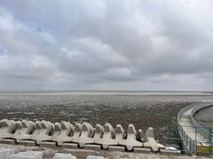 -南汇嘴观海公园