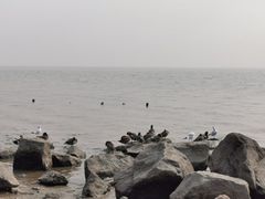 -深圳湾公园(南山区)