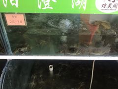 -阳澄湖大闸蟹·琼灵阁牌品牌连锁(吴中总店)