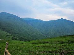 -灵山