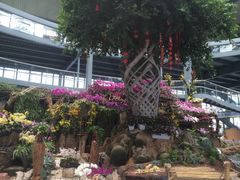 -南通洲际绿博园