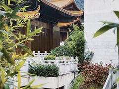 -深圳市中科院仙湖植物园